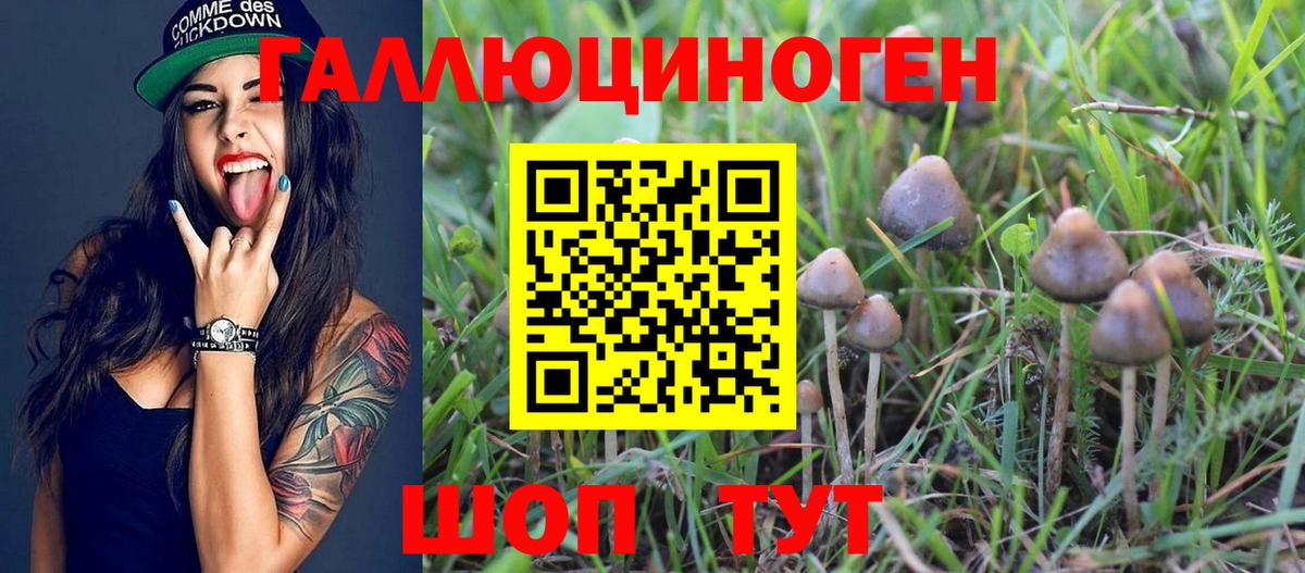Галлюциногенные грибы MAGIC MUSHROOMS  Вход с VPN  Вольск 